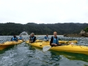 abeltasman (15)